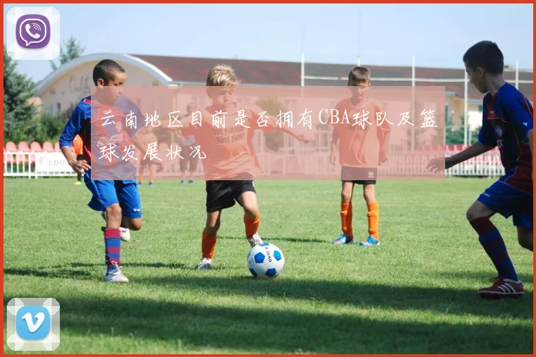 云南地区目前是否拥有CBA球队及篮球发展状况