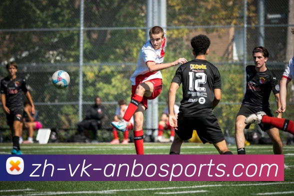 安博体育APP 封面图